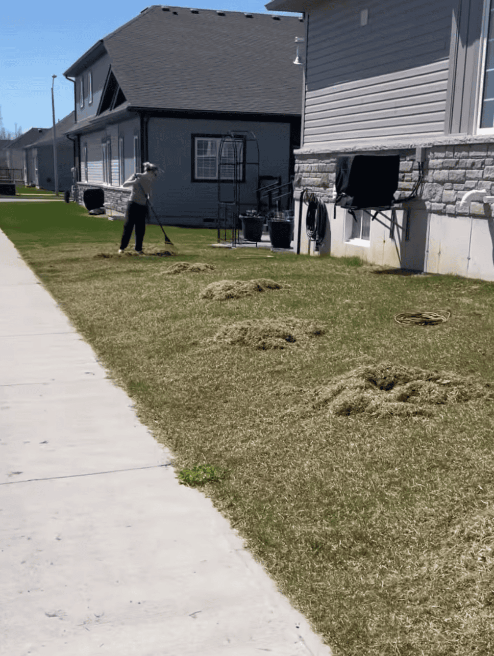 Screenshot 2025-06-23 at 12.18.10 AM